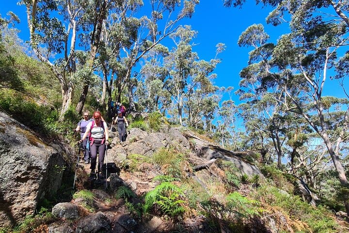 Albany Coastal and Porongurup Hiking: 3-Day Natural Wonders Tour photo 5