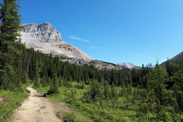Skoki Backcountry Guided Hike from Lake Louise — Van Shuttle to Alpine Lakes photo 3