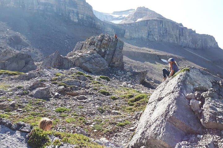 Skoki Backcountry Guided Hike from Lake Louise — Van Shuttle to Alpine Lakes photo 4