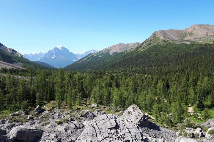 Skoki Backcountry Guided Hike from Lake Louise — Van Shuttle to Alpine Lakes photo 5