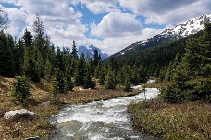 Skoki Backcountry Guided Hike from Lake Louise — Van Shuttle to Alpine Lakes photo 6