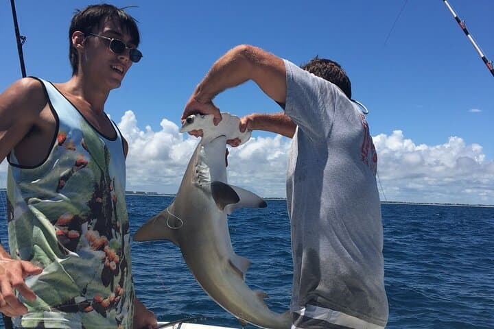 6-Hour Miami Inshore Fishing Trip: Explore Biscayne Bay’s Coastal Flats photo 6