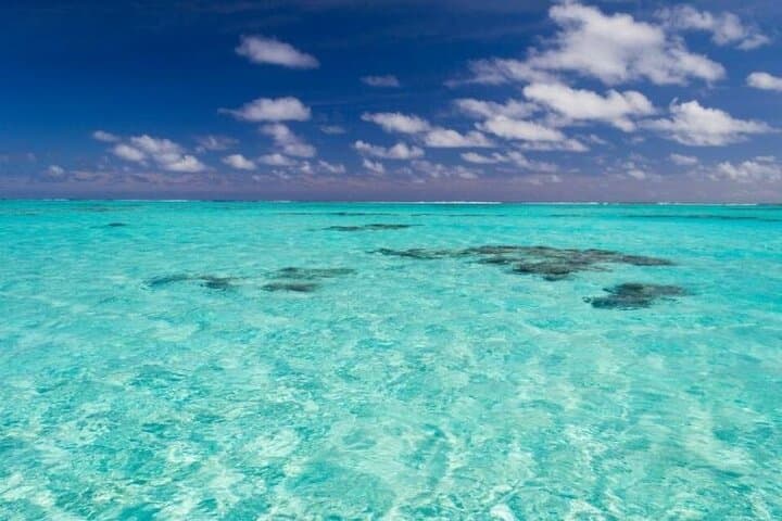 Saona Island Full-Day Excursion: Speedboat to Natural Pools & Beach Lunch photo 3