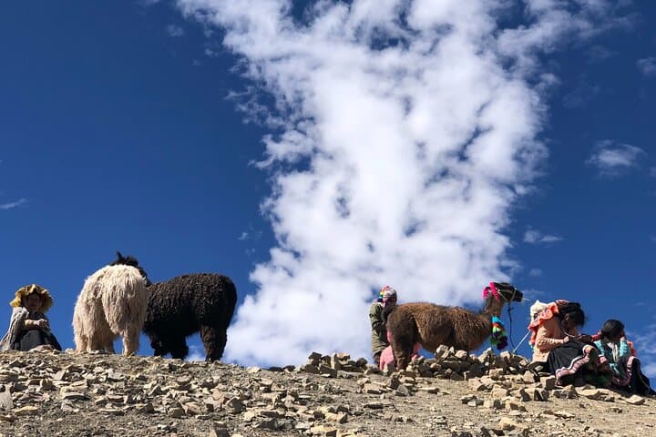 Vinicunca Rainbow Mountain Full-Day Private Hike from Cusco photo 4