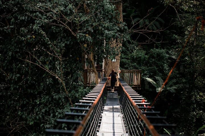 Hanuman World Phuket Zipline — World B+ 18-Platform Jungle Roller, Sky Walk & Set Menu photo 5