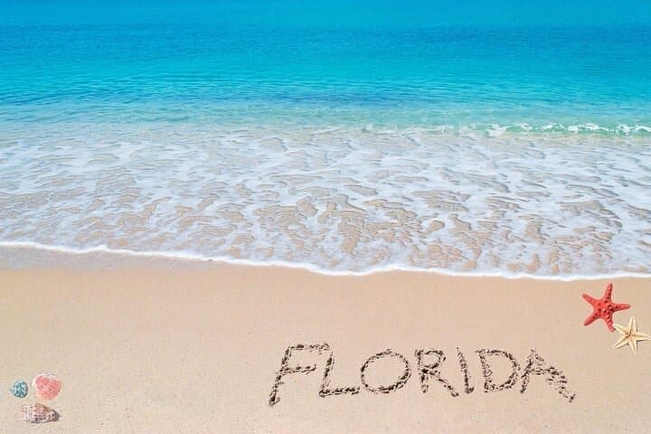Private Airport Transfer Between Fort Myers, Fort Lauderdale and Naples photo 6