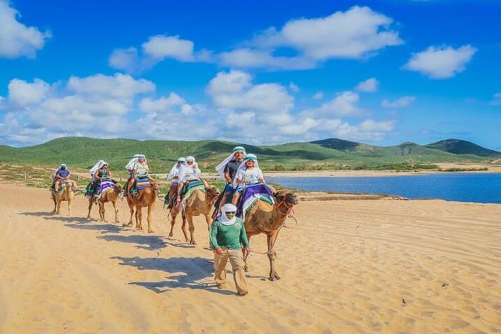Camel Ride and ATV Combo at Migriño Beach — Los Cabos Adventure Tour