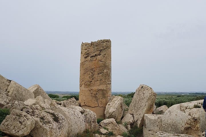 Private Guided Tour of the Selinunte Ruins — Explore Ancient Greek Temples on Sicily's Coast photo 3
