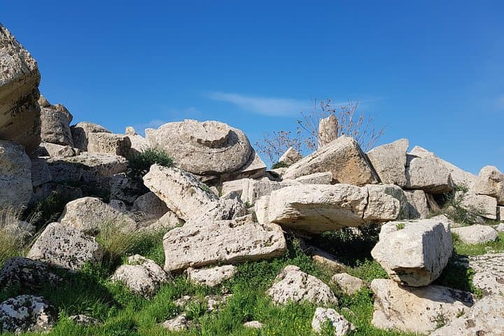 Private Guided Tour of the Selinunte Ruins — Explore Ancient Greek Temples on Sicily's Coast photo 4