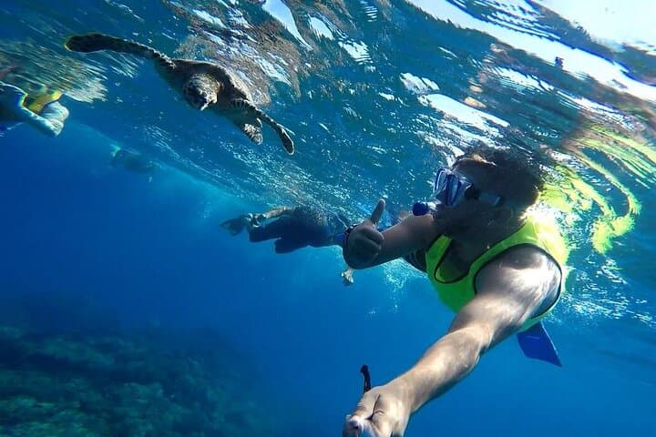 Snorkeling Caño Island from Drake Bay: Full-Day Tour with Lunch