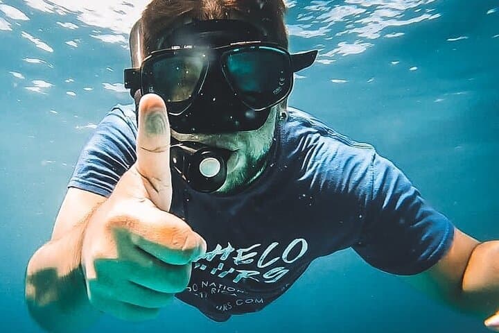 Snorkeling Caño Island from Drake Bay: Full-Day Tour with Lunch photo 5