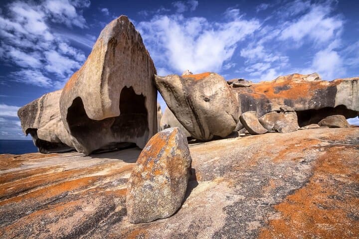 Adelaide to Kangaroo Island: 5-Day Wildlife, Wine & Coast Explorer photo 4