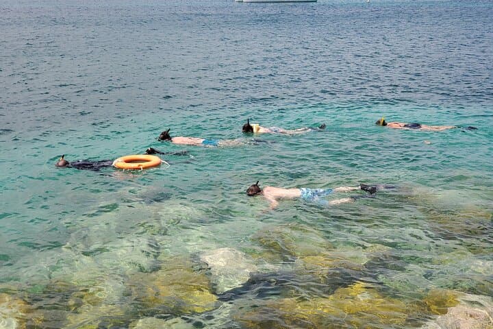 Pigeon Island Snorkel Adventure: Shore-Based Reefs of St. Lucia photo 3