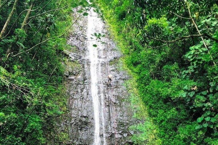 Manoa Falls Hike: Self-Guided Nature Walk to Oahu's Tallest Accessible Waterfall photo 2