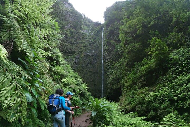 Caldeirão Verde Levada Guided Walk — PR9 Laurissilva Hike from Queimadas