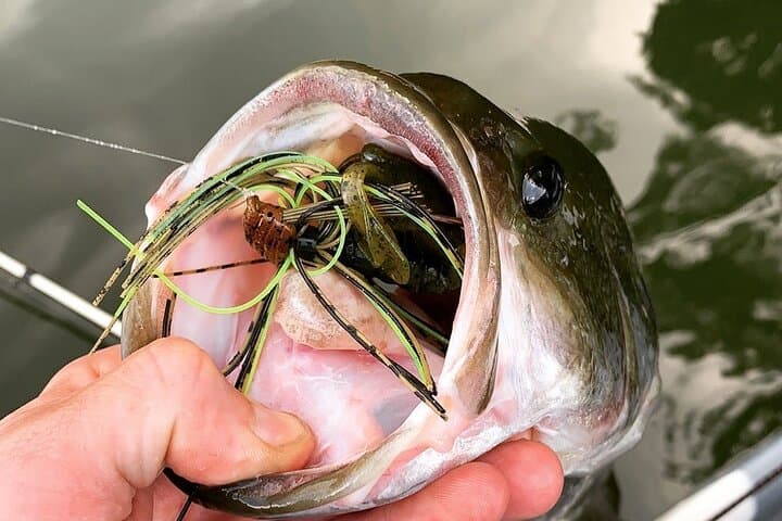 Asheville Kayak Fishing & Scenic Paddle Tours — Guided Lake and River Trips photo 6