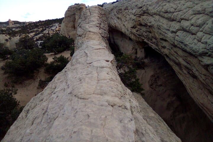 Moab Jeep Adventure: Rock Crawling, Petroglyphs & Desert Tracks photo 2