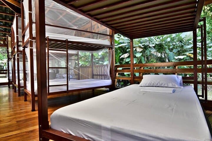 Sirena Overnight in Corcovado: 2-Day Rainforest Trek from Drake Bay