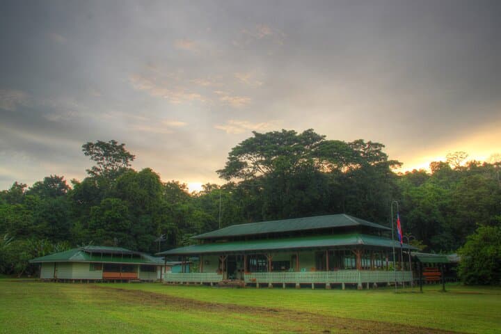 Sirena Overnight in Corcovado: 2-Day Rainforest Trek from Drake Bay photo 4
