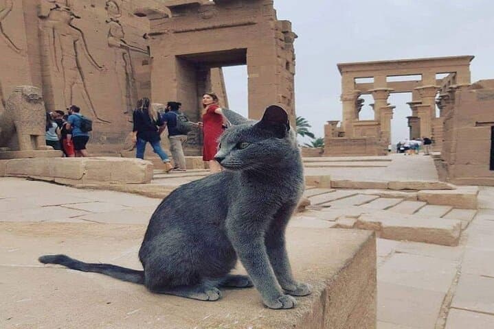 Nile Cruise From Aswan to Luxor: 2-Night, 3-Day Sailing with Temple Visits photo 2