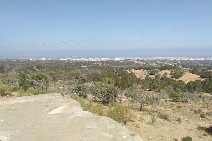Essaouira Day Trip from Marrakech: Winds, Medina & Argan Oil Cooperatives photo 4