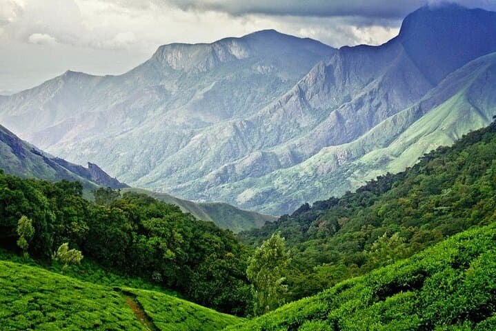Highlights of Kerala: 13-Day Backwaters, Hill Stations & Wildlife Tour photo 3