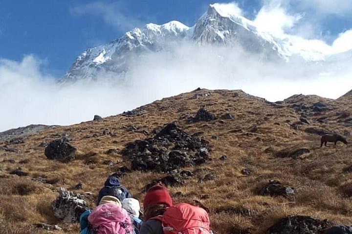 Sandakphu Singhalila Trek: Darjeeling to Phalut Ridge Camping and Himalayan Panorama photo 4