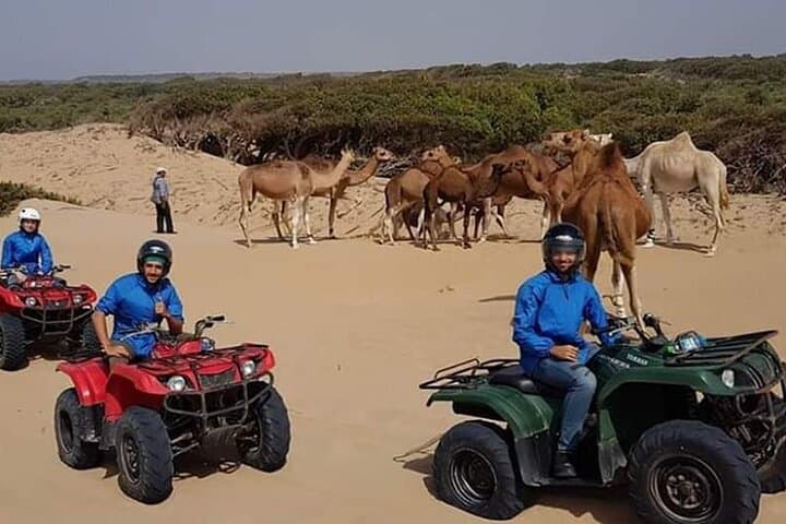 Essaouira Quad and Dromedary Combo: Ride Dunes, Beach and Argan Forests at Sunset photo 3