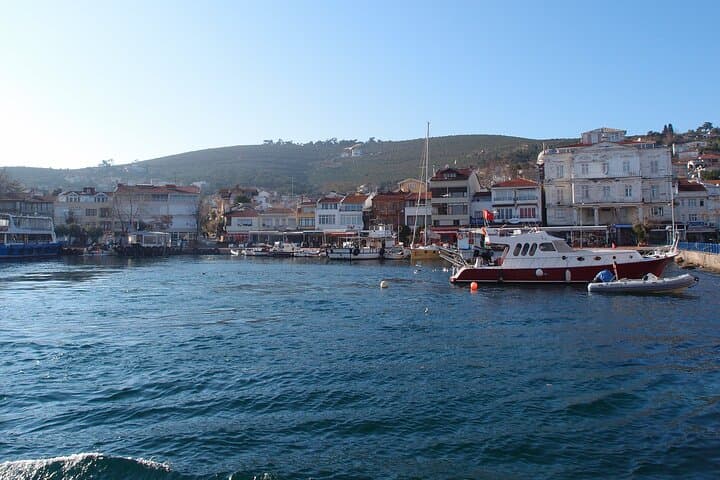 Private Princes' Islands Tour to Buyukada — Day Trip from Istanbul photo 5