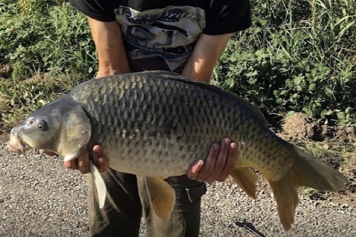 Introduction to Fishing Near Strasbourg — 3-Hour Urban Pond Experience photo 1