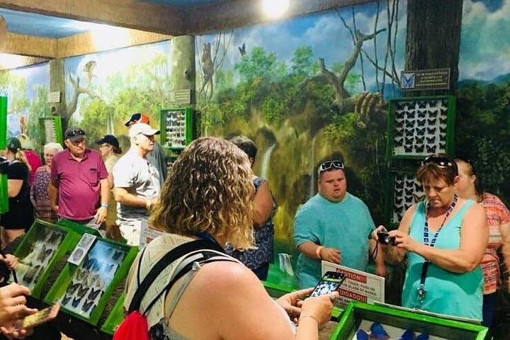 Gumbalimba Park Roatán: One-Hour Wildlife, Garden & Beach Tour photo 2