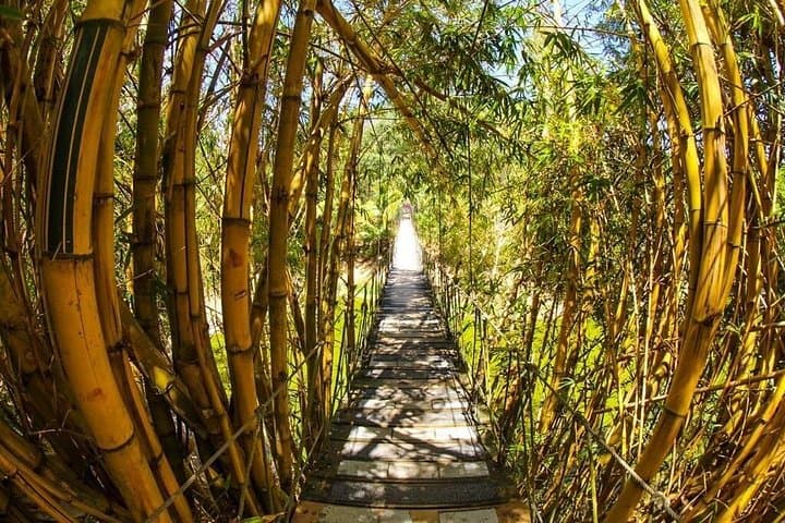 Gumbalimba Park Roatán: One-Hour Wildlife, Garden & Beach Tour photo 6