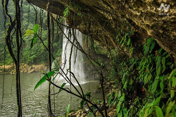 Agua Azul, Misol-Há & Palenque Day Tour from San Cristóbal photo 6
