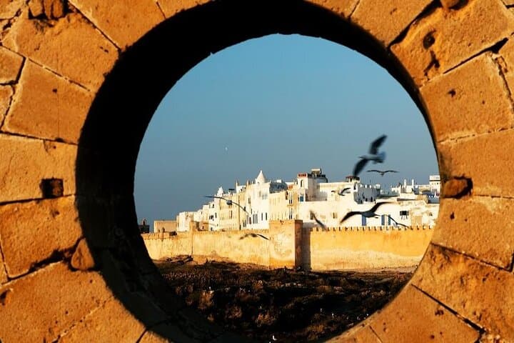 Private Day Trip to Essaouira from Marrakech — Coastal Medina & Argan Groves photo 3