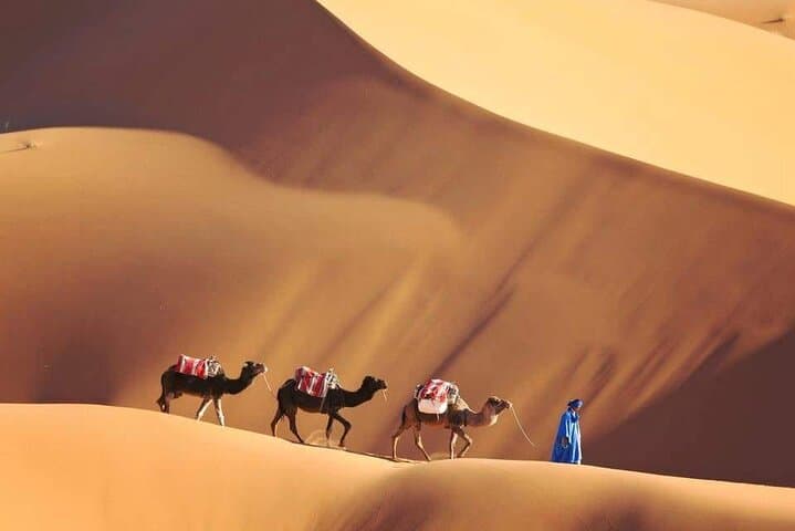 4-Day Sahara Desert Trip from Marrakech — Merzouga Dunes, Todra Gorge & Dades Valley photo 3