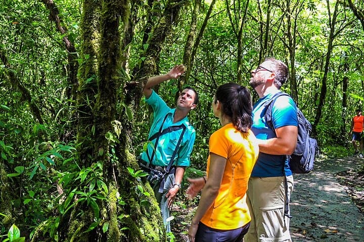 Rio Celeste Waterfall Rainforest Hike: Tenorio National Park Day Trip from La Fortuna photo 4