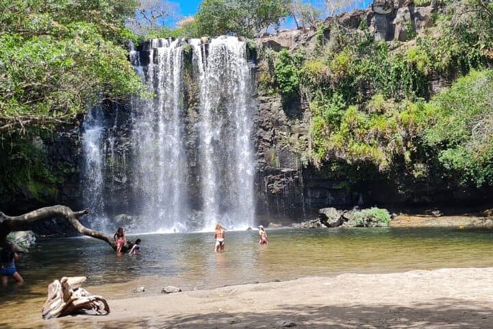 Bijagua Rainforest Sloth Walk and Llanos de Cortés Waterfall Day Tour photo 5