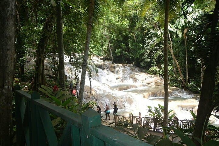 Climb Dunn's River Falls: Private Tour from Montego Bay with Admission photo 6