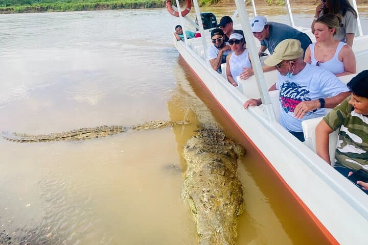 Jaco Highlights Tour: Carara Rainforest, Tarcoles River Cruise & Beachfront Lunch photo 5