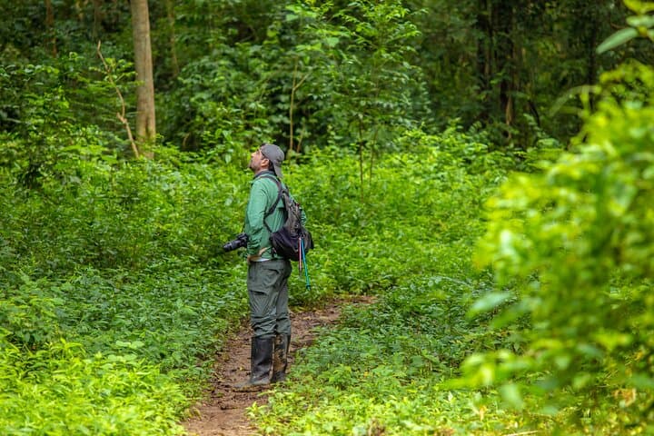 Howling Trail Hike: Tropical Dry Forest Day Trip from Cartagena photo 2