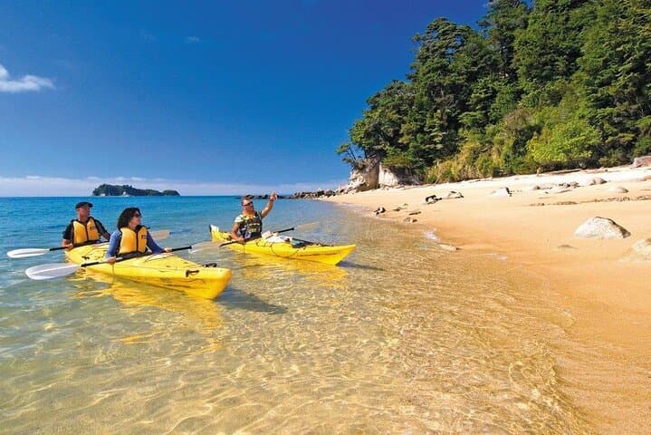 Abel Tasman Kayak & Pitt Head Nature Loop — Guided Kayak and Unguided Walk from Marahau photo 3