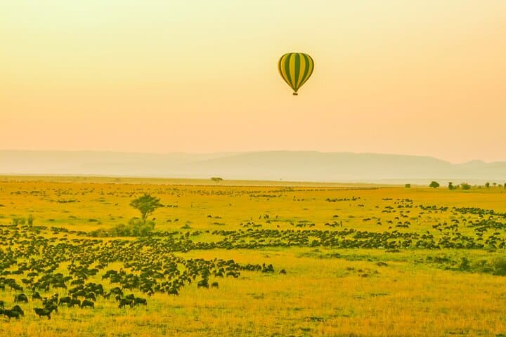 3-Day Private Masai Mara Migration Safari — When to Go, What to Expect photo 2