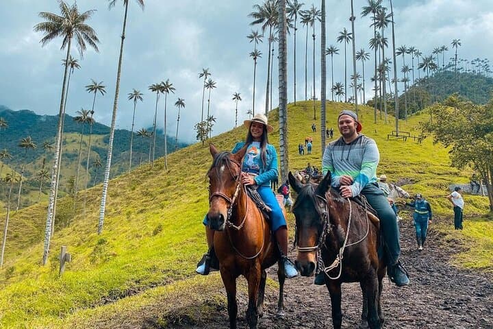 Cocora Valley Horseback Ride: Wax Palms, Rivers & Cloud-Forest Views photo 5