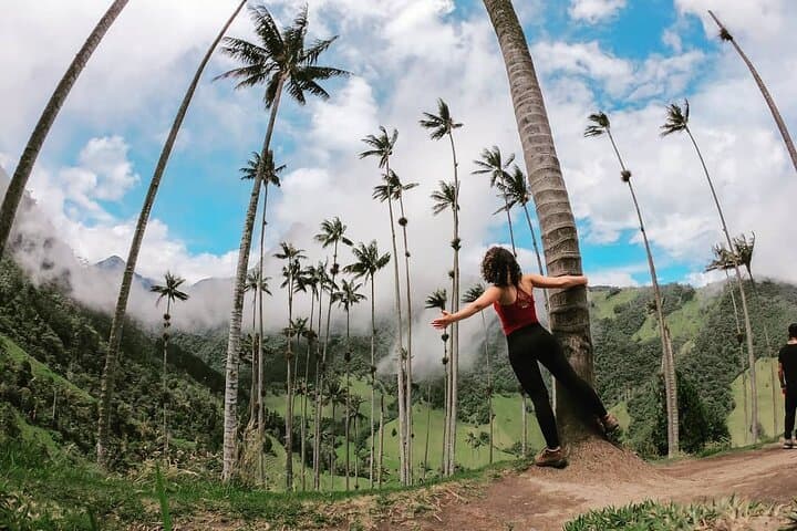 Cocora Valley Horseback Ride: Wax Palms, Rivers & Cloud-Forest Views photo 3