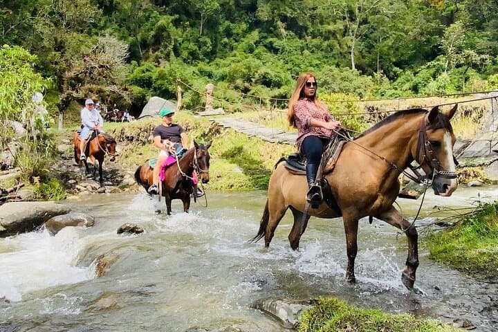 Cocora Valley Horseback Ride: Wax Palms, Rivers & Cloud-Forest Views photo 4