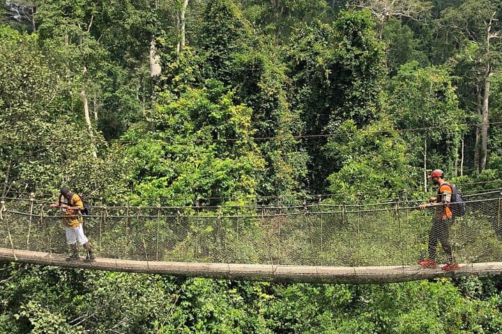 Day Trip from Accra to Cape Coast, Elmina & Kakum Canopy Walkway photo 5