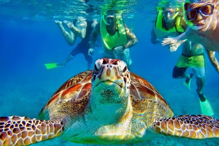 Private Tulum Mayan Ruins & Akumal Turtle Snorkel Experience photo 4
