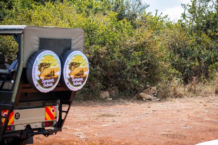 Nairobi National Park Game Drive: Wildlife Safari Within the City Limits photo 3