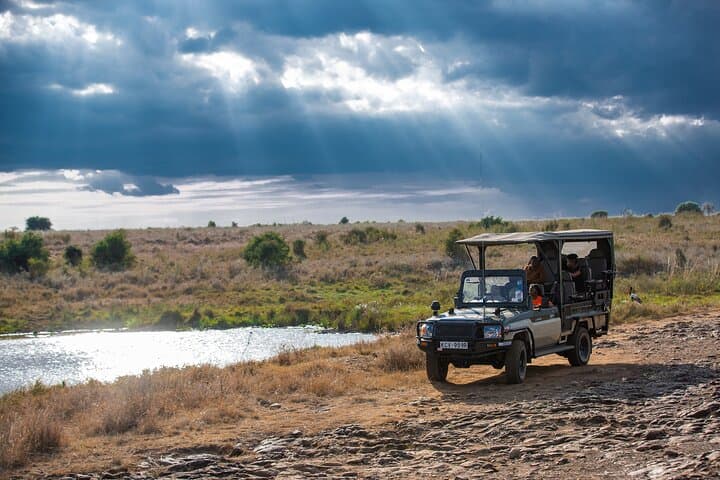 Nairobi National Park Game Drive: Wildlife Safari Within the City Limits photo 6