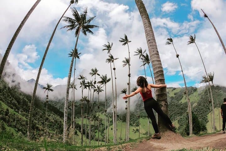 Cocora Valley & Santa Rita Waterfall: Full-Day Jeep and Horseback Tour from Salento photo 6